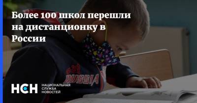 Более 100 школ перешли на дистанционку в России