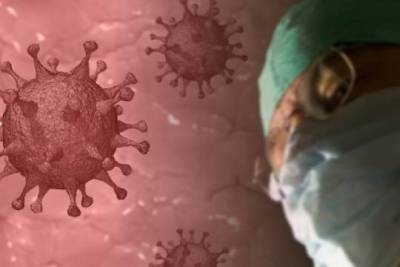 Специалист спрогнозировал сроки роста смертности от коронавируса в России