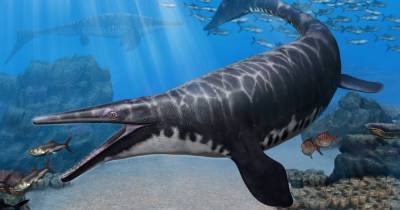 Ученые открыли новый вид древних морских рептилий