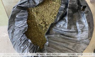У гомельчанина в квартире нашли 6,5 кг марихуаны — фото, видео