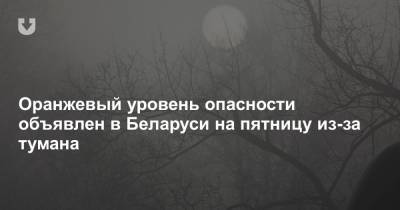 Оранжевый уровень опасности объявлен в Беларуси на пятницу из-за тумана