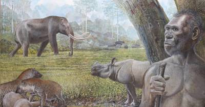В вымирании видов 100 000 лет назад в Азии виноват климат