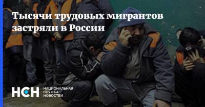 Тысячи трудовых мигрантов застряли в России