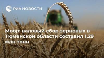 Моор: валовый сбор зерновых в Тюменской области составил 1,29 млн тонн