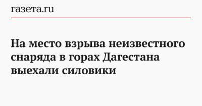 На место взрыва неизвестного снаряда в горах Дагестана выехали силовики - gazeta.ru - респ. Дагестан