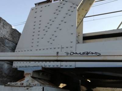 Полицейские задержали двух миасских подростков, изрисовавших мост