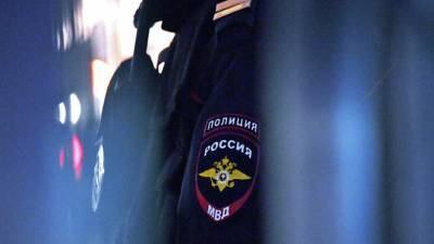 МВД намерено опросить сопровождавшую Навального в Томске Певчих