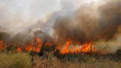 Украина в ОБСЕ привела доказательства того, что пожары у Попасной - результат поджога оккупантов