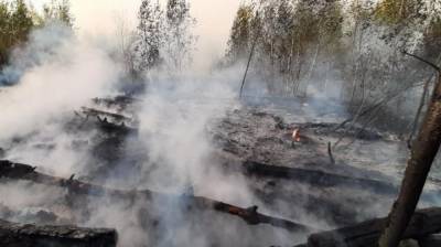 МЧС зарегистрировало два новых пожара в Воронежской области