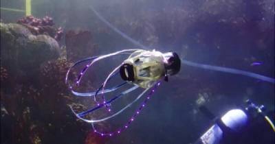 Создан робот-кальмар, способный быстро двигаться в воде