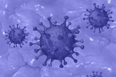 Псковский центр СПИД резко сократил тестирование на антитела к COVID-19