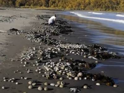 В воде на Камчатке нашли кратные превышения ряда химических соединений