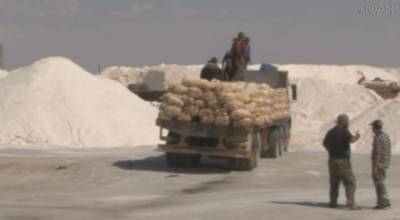 Сирийские власти начали добычу соли в пустыне Пальмиры