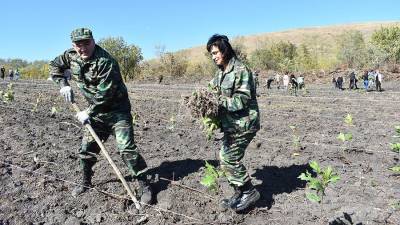 Северная Осетия присоединилась к всероссийской акции «Сохраним лес»