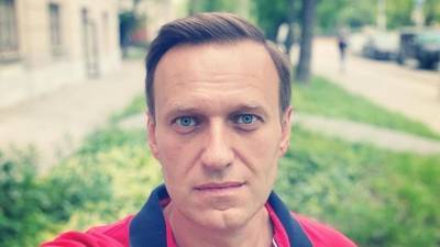 «Проект был заранее спланирован»: депутат Бундестага прокомментировал инцидент с Навальным