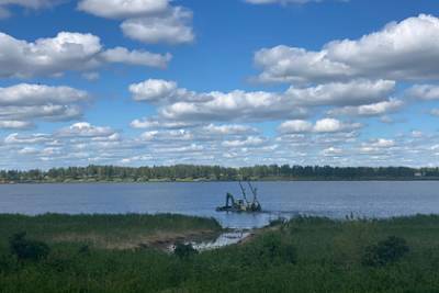 В Новосибирской области очистят озеро Половинное