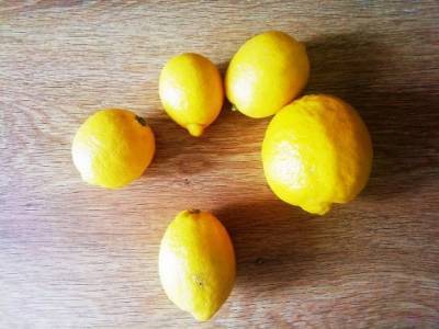Ученые рассказали, кому нельзя есть лимоны