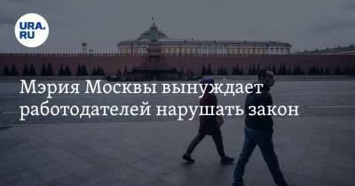 Мэрия Москвы вынуждает работодателей нарушать закон. Мнение экс-главы СПЧ
