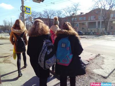 В селе Самарском под Ростовом целую школу отправили на карантин из-за коронавируса