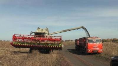 В Каменском районе собирают небывалый урожай зерновых