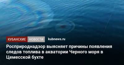 Росприроднадзор выясняет причины появления следов топлива в акватории Черного моря в Цемесской бухте