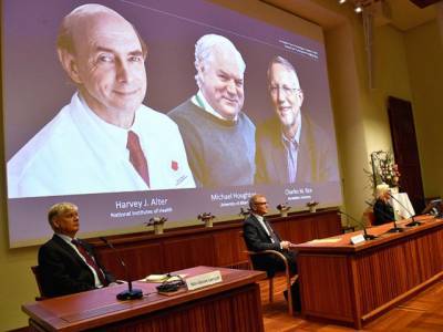 Нобелевскую премию по медицине дали за открытие вируса гепатита С