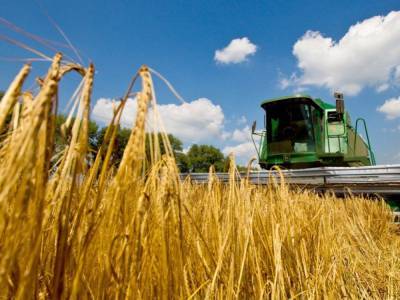 Украинский аграрный бизнес конкурирует на международном рынке Европы, США и России