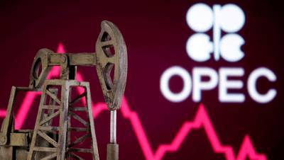 ОПЕК предрекла к 2040 году повышение спроса на нефть на 9%