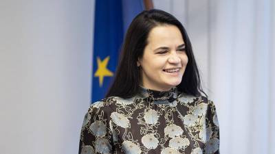 Лже-Тихановская приняла участие в заседании комитета парламента Дании