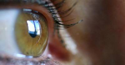 Офтальмолог о порче зрения: Вред от гаджетов преувеличен