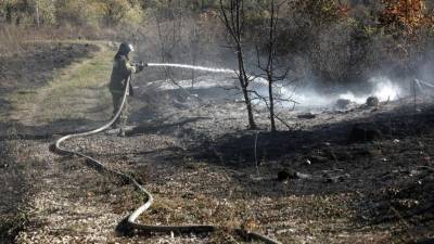Режим ЧС из-за пожара на складе боеприпасов отменяют под Рязанью
