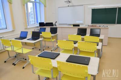 Стало известно, сколько кузбасских школ переведены на дистанционное обучение