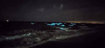 В Одессе ночное море окрасилось светло-голубым сиянием