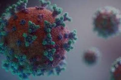 ВОЗ зафиксировала новый суточный антирекорд коронавируса