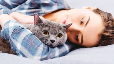 Психологи рассказали о «секретном» приеме для дружбы с кошкой
