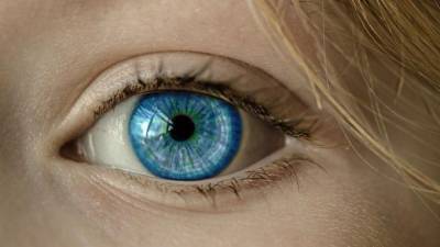 Университет Хопкинса: у людей есть гены, чтобы регенерировать глаза