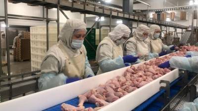 В Казахстане растет потребление мяса птицы