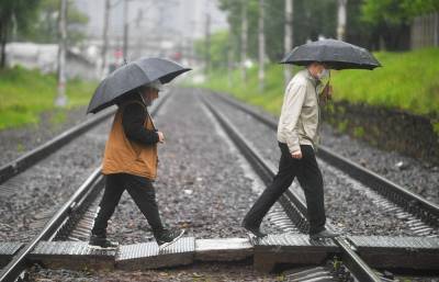 Москвичам пообещали дождливую погоду в пятницу