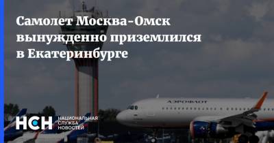 Самолет Москва-Омск вынужденно приземлился в Екатеринбурге