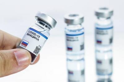 Депутат Морозов ответил на обвинения США о «похищении» Россией вакцины от коронавируса