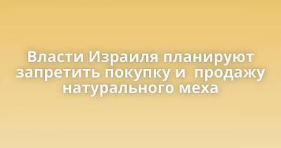 Гила Гамлиэль - Власти Израиля планируют запретить покупку и продажу натурального меха - skuke.net - США - Израиль - Бразилия - Сан-Паулу