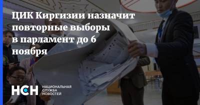 ЦИК Киргизии назначит повторные выборы в парламент до 6 ноября