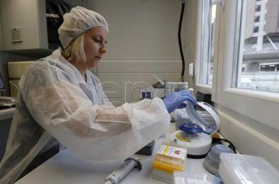 Украинские "ковид"-тесты на антиген проходят сертификацию