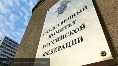 Центральный аппарат СК начал расследовать дело о смерти Конкиной в Москве