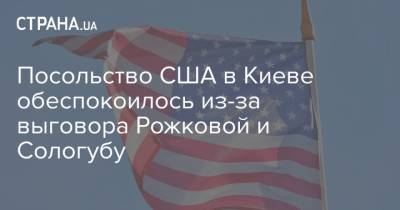 Посольство США в Киеве обеспокоилось из-за выговора Рожковой и Сологубу
