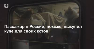 Пассажир в России, похоже, выкупил купе для своих котов