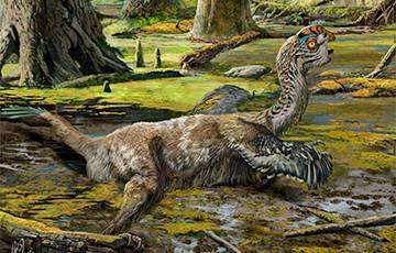 Ученые обнаружили новый вид динозавров с перьями и попугайским клювом