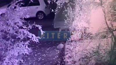 Поджог "Газели" на Пискаревском проспекте попал на видео