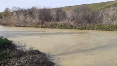 Экологи нашли источник загрязнения реки Миасс в районе Челябинска