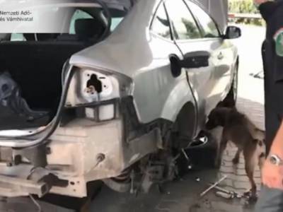 Венгерские таможенники «уничтожили» авто украинского контрабандиста
